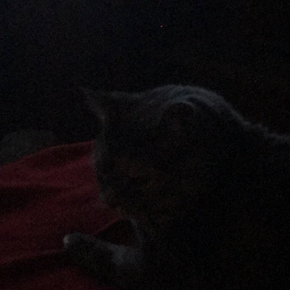 Meet your Posher, Randy - Picture 1 of 1